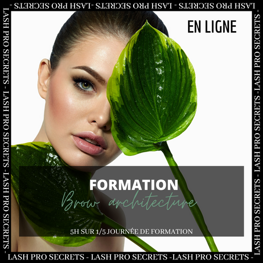 Formation en ligne - Brow architecture